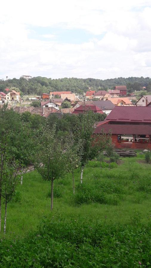Casa Anamaria Villa Turda Dış mekan fotoğraf
